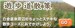 遊歩道散策