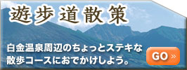 遊歩道散策